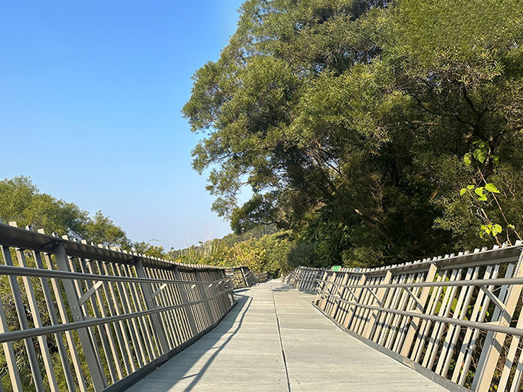 Pavimento forestale della città cinese di Fuzhou